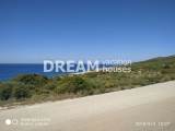slide1 thumbnail