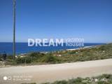 slide1 thumbnail