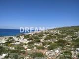 slide1 thumbnail