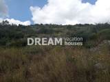 slide1 thumbnail