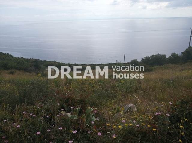 (For Sale) Land Agricultural Land  || Zakynthos (Zante)/Elatio - 4.203 Sq.m, 200.000€ 