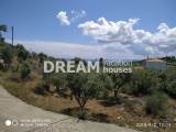 slide1 thumbnail