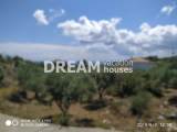slide1 thumbnail
