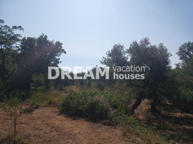 (Verkauf) Nutzbares Land Grundstück || Zakynthos (Zante)/Arkadi - 4.200 m², 320.000€ 