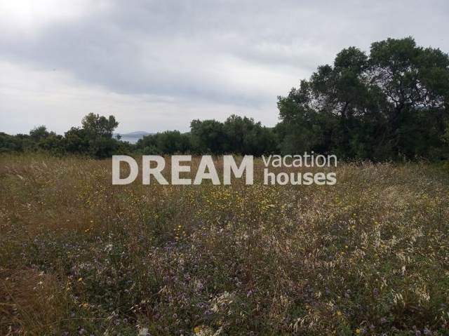 (Verkauf) Nutzbares Land Ackerland  || Zakynthos (Zante)/Elatio - 4.000 m², 120.000€ 