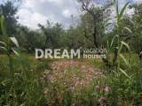slide1 thumbnail
