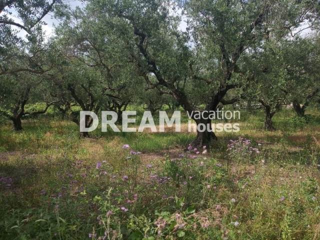 (For Sale) Land Plot || Zakynthos (Zante)/Artemisio - 3.660 Sq.m, 130.000€ 