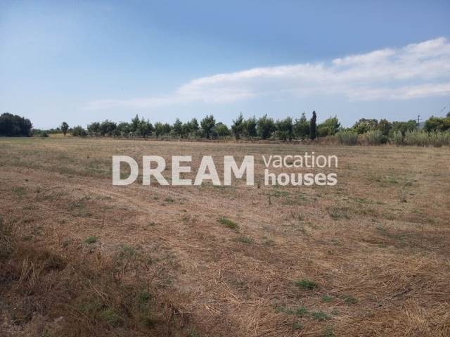 (Προς Πώληση) Αξιοποιήσιμη Γη Αγροτεμάχιο || Ν. Ζακύνθου/Λαγανάς - 9.406 τ.μ, 200.000€ 