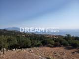 slide1 thumbnail