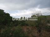 slide1 thumbnail