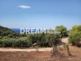 slide1 thumbnail
