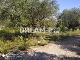 slide1 thumbnail