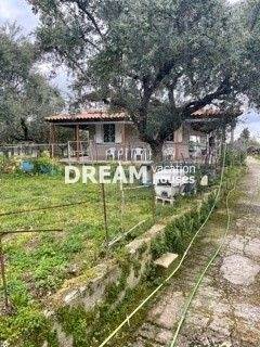 (Verkauf) Wohnung/Residenz Einzelhaus  || Zakynthos (Zante)/Arkadi - 85 m², 2 Schlafzimmer, 380.000€ 