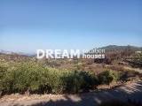 slide1 thumbnail