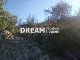 slide1 thumbnail