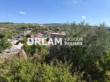 slide1 thumbnail