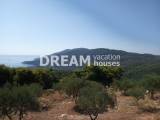 slide1 thumbnail