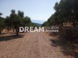 slide1 thumbnail