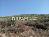 slide1 thumbnail
