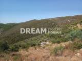 slide1 thumbnail