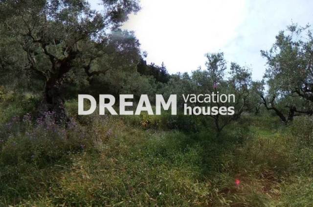 (En vente) Valorisation de la Terre Terrain || Zakynthos (Zante)/Arkadi - 3.767 M2, 140.000€ 