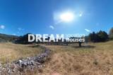 slide1 thumbnail