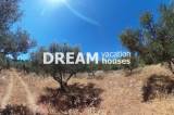 slide1 thumbnail