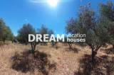 slide1 thumbnail