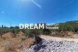 slide1 thumbnail