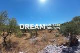 slide1 thumbnail
