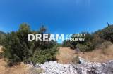 slide1 thumbnail
