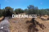 slide1 thumbnail