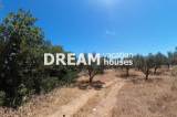 slide1 thumbnail