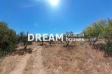 slide1 thumbnail