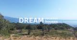 slide1 thumbnail