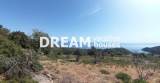 slide1 thumbnail
