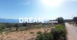 slide1 thumbnail