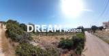 slide1 thumbnail