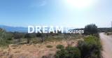 slide1 thumbnail