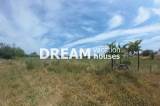 slide1 thumbnail