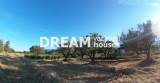 slide1 thumbnail