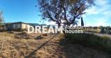 slide1 thumbnail