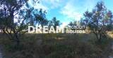 slide1 thumbnail