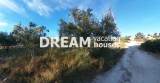 slide1 thumbnail
