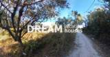 slide1 thumbnail