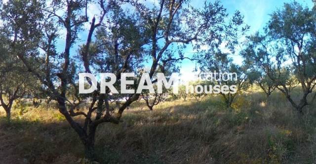 (En vente) Valorisation de la Terre Terrain || Zakynthos (Zante)/Alikes - 2.600 M2, 70.000€ 