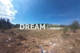 slide1 thumbnail