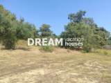 slide1 thumbnail