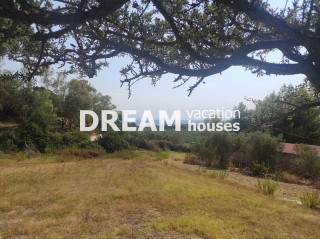 Valorisation de la Terre Terrain | Zakynthos (Zante)/Ano Vasilikos - 5.956 M2, 300.000€ 