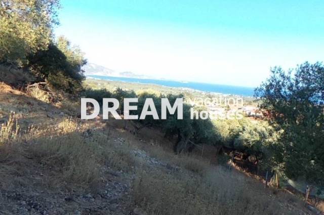 (Προς Πώληση) Αξιοποιήσιμη Γη Αγροτεμάχιο || Ν. Ζακύνθου/Λαγανάς - 2.754 τ.μ, 90.000€ 